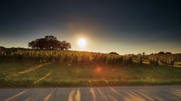 Château Mercian Mariko Winery Image 2